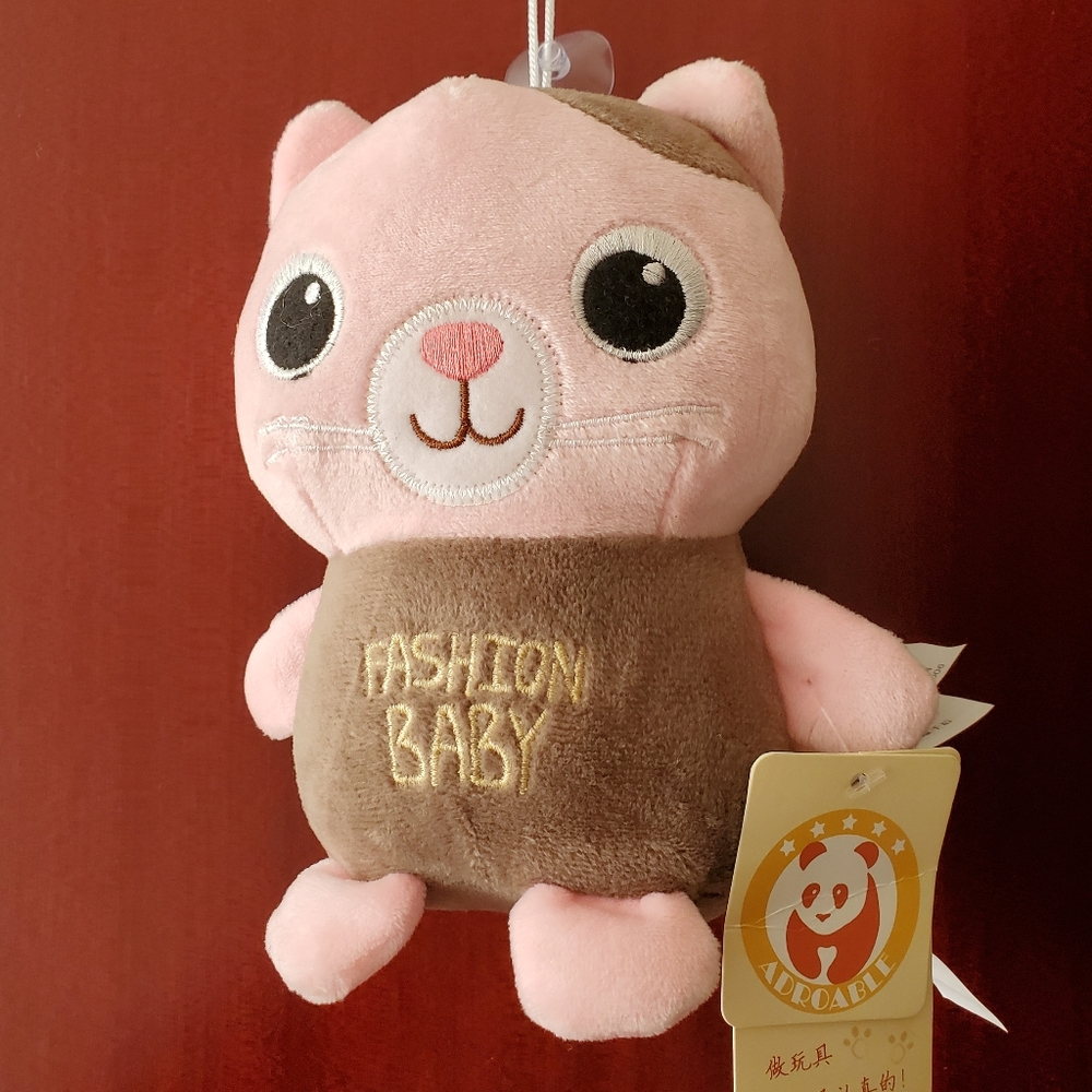 2 for $40 Cute kitty